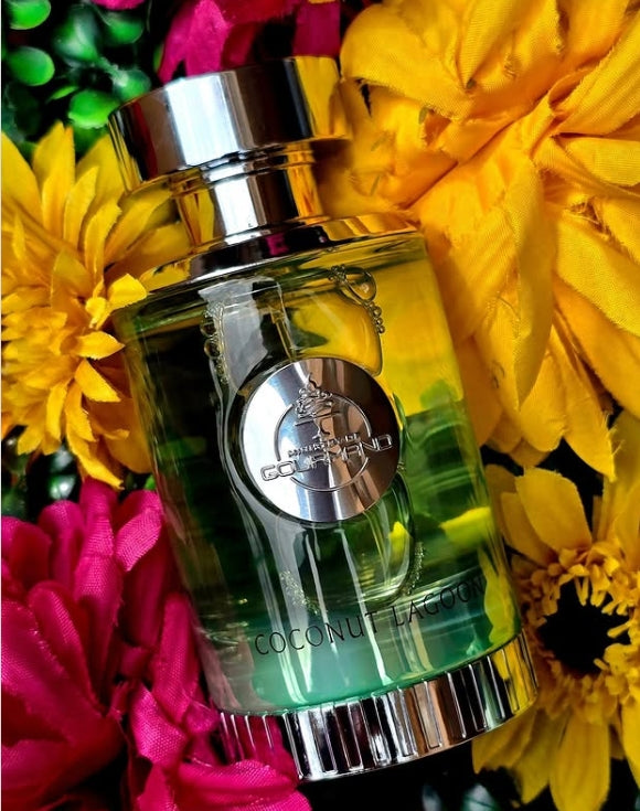 PARIS CORNER COCONUT LAGOON