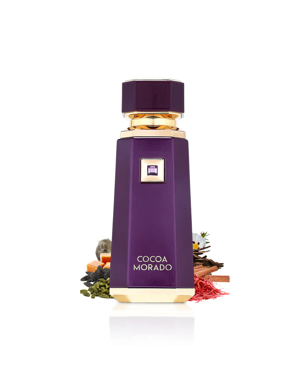 COCOA MORADO FRENCH AVENUE